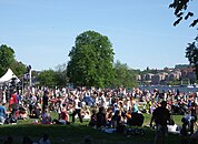 Park in summer