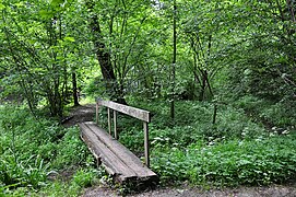 Log bridge in Switzerland with flattened top and handrail