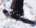 MSR snowshoe