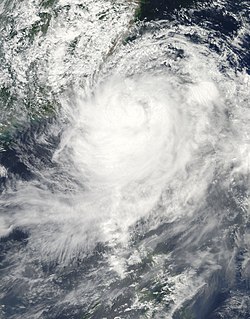 中度台风莫拉克卫星云图