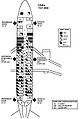 Seating chart of US Airways Flight 1493 from the NTSB