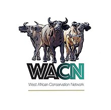 This is the Logo of WACN