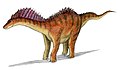 My very first production: Amargasaurus cazaui one of my favorite dino