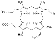 Protoporphyrinogen IX, precursor to protoporphyrin IX.