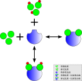 2009年2月8日 (日) 05:57版本的缩略图