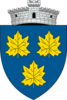 Coat of arms of Păltinoasa