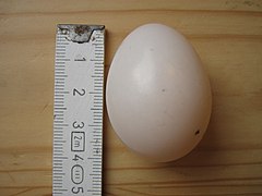 Egg, measured in centimetres
