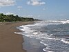 Tortuguero beach