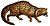 African civet