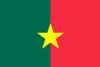 Jatiya Party-JaPa flag