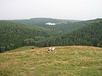 General view of Jazłowiec with village crest animal in the foreground