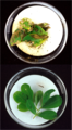 Image 5Bt-toxins in genetically modified peanut leaves (bottom) protect from damage by corn borers (top). (from History of agriculture)