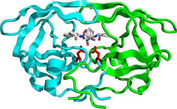 HIV protease bound to the inhibitor BEA369