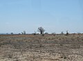 Typical landscape near Mahaboboka