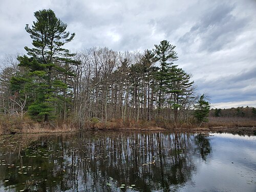 Kingfisher Pond in Stony Brook Wildlife Sanctuary in Norfolk, Massachusetts