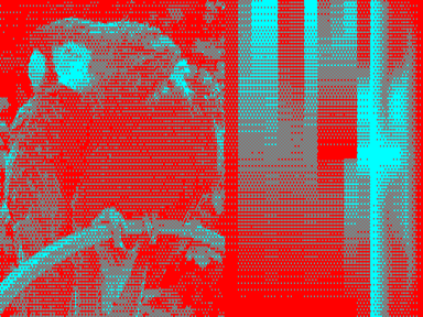 512 × 192 × 2 example image with red & cyan palette