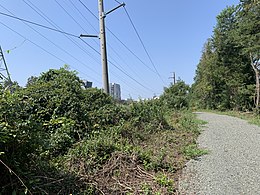 The W&OD crushed bluestone bridle path just east of the junction with Wiehle Avenue (VA-828) in Reston, Virginia in August 2021.