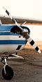 A skull cap-style spinner on a Cessna 150