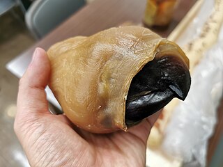 #609 (6/1/2015) Plastinated beak and associated buccal tissue from the same specimen, deposited at Tottori Prefectural Museum but not publicly exhibited