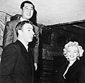 Joe DiMaggio, Marilyn Monroe and Tstsuzō Inumaru ジョー･ディマジオ、マリリン･モンロー、犬丸徹三‎
