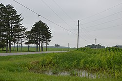 Lincoln Highway旁的玉米地