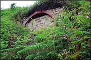 Port Mulgrave mine tunnel portal