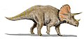三角龙，白垩纪最具有代表性的恐龙之一