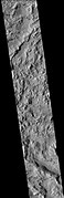 火星勘测轨道飞行器背景相机拍摄的切鲁利陨击坑西侧部分。