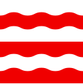 SVG Flag, 2007