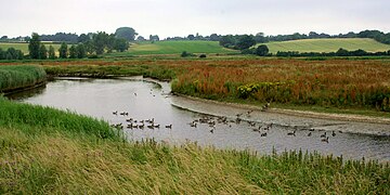 different from: Dedham Vale AONB 