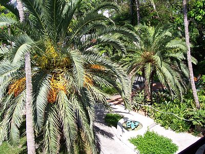 View from inside the house