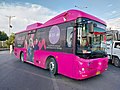 Image 25Peoples Bus Service (Pink) (from Karachi)