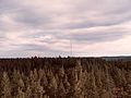 View from the top of Wofford tower