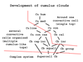 Simplified development of a cumulus cloud, given conditions are suitable.