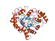 1z89: Human Aldose Reductase complexed with novel Sulfonyl-pyridazinone Inhibitor