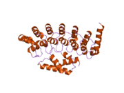 2dvw: Structure of the Oncoprotein Gankyrin in Complex with S6 ATPase of the 26S Proteasome