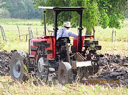 Mennonite ploughing fields with steel wheels in Shipyard