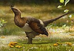 Restoration of Serikornis by Emily Willoughby, 2017