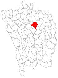 Location in Vaslui County