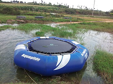 Capture water sport group boat