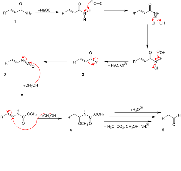 Weermann degradation 1st unsattuered