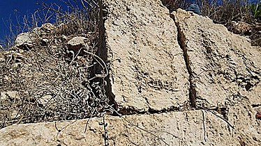 Ashlar stones from the Hasmonean wall