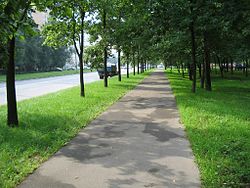 Street view, Dubninskaya, Vostochnoye Degunino District