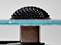 Ferrofluid Large Spikes