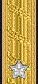 Shoulder mark (Navy)[g] (2000–present)