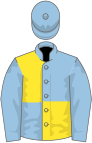 Light blue and yellow (quartered), light blue sleeves and cap