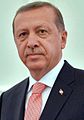  土耳其 总统雷杰普·塔伊普·埃尔多安