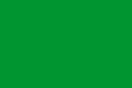什叶派有时会使用的绿旗