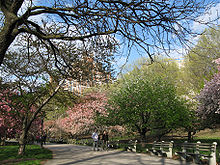 A section of Riverside Park above the Freedom Tunnel, a train tunnel