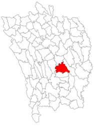 Location in Vaslui County